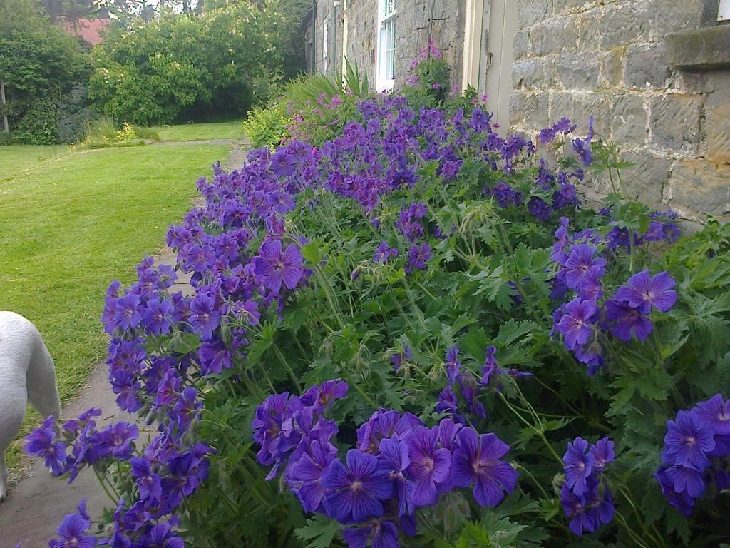 Bed and Breakfast Barmoors Lastingham Exterior foto